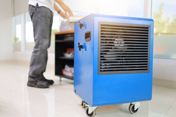 Best Residential Mold Inspection & Testing  in Auburn, NY